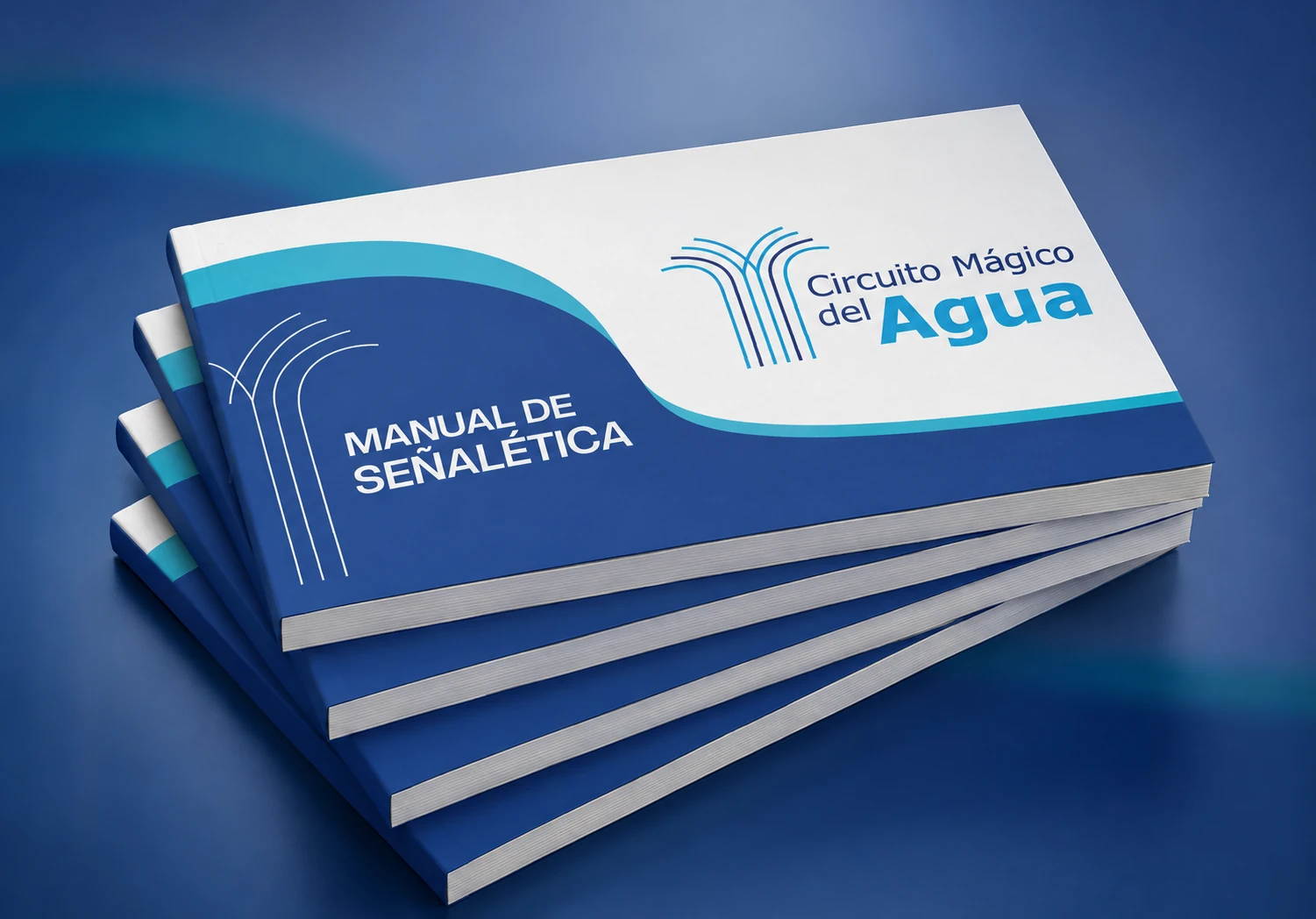 Circuito Mágico del Agua